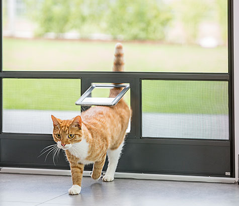 Insektenschutz Tür mit Katzenklappe